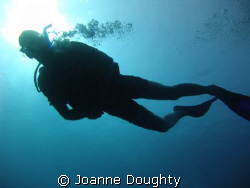 I loved the colour of the blues around the Diver's body w... by Joanne Doughty 
